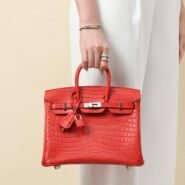 Birkin crocodile handbag