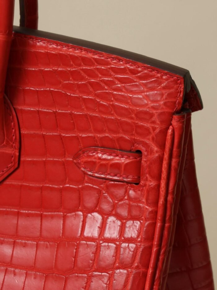 Birkin crocodile handbag