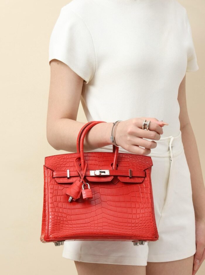 Birkin crocodile handbag